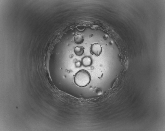 X0000083000819200702160047