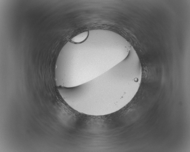 X0000083000820200702160047