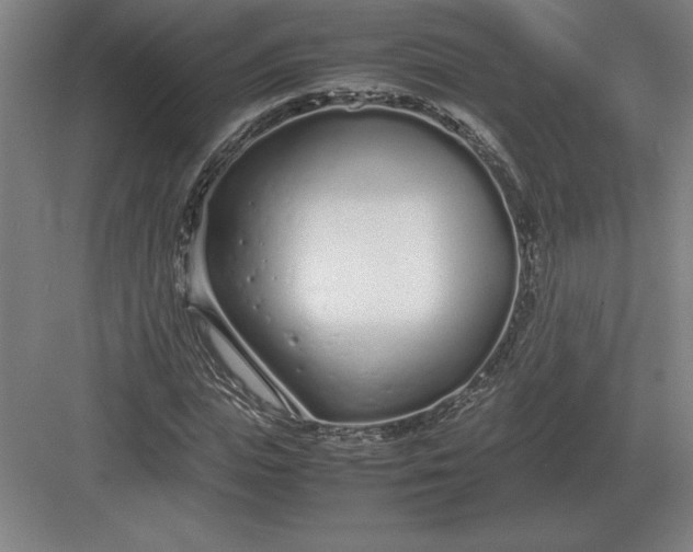 X0000083000823200702160047