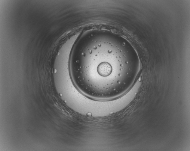 X0000083000824200702160047