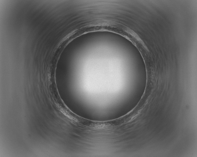 X0000083000826200702160047