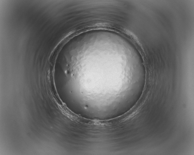 X0000083000827200702160047