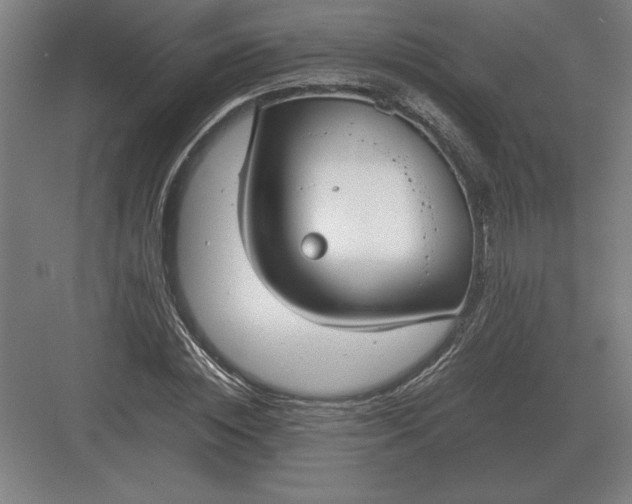 X0000083000828200702160047