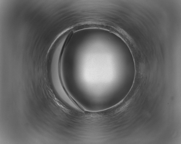 X0000083000830200702160047