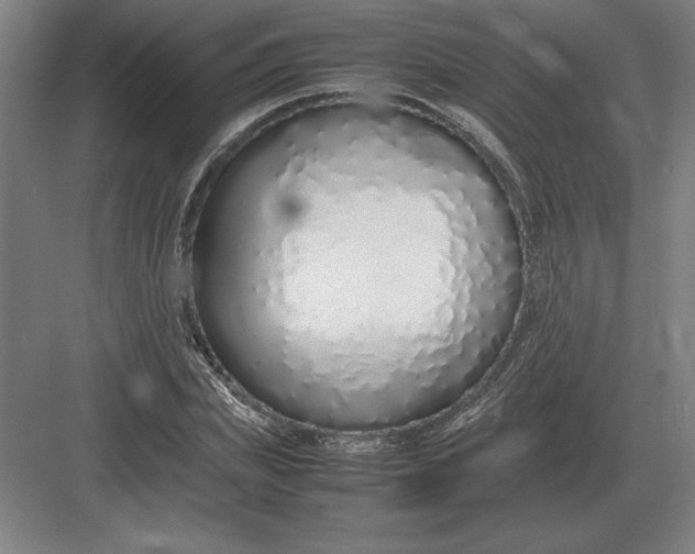 X0000083000831200702160047