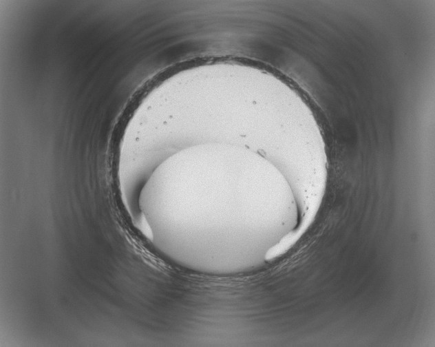 X0000083000832200702160047