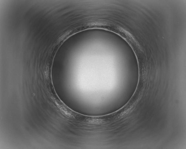 X0000083000833200702160047