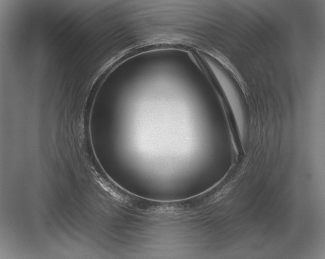 X0000083000834200702160047