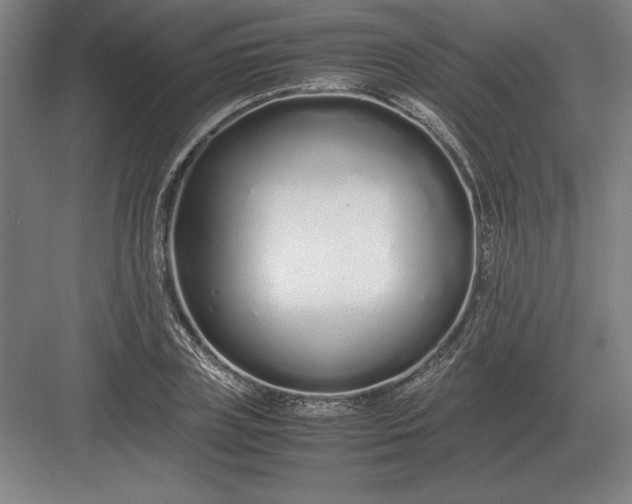 X0000083000835200702160047