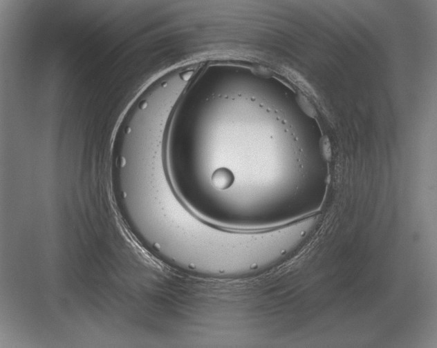 X0000083000836200702160047