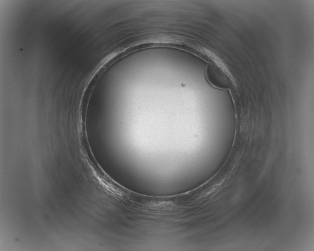 X0000083000837200702160047