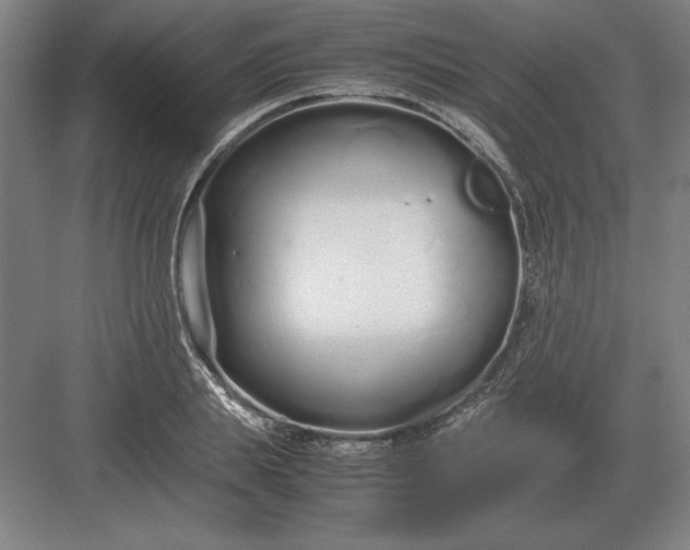 X0000083000839200702160047