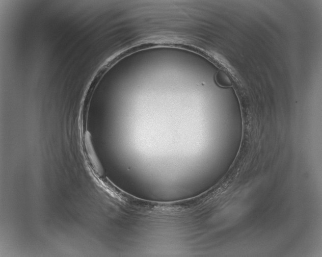 X0000083000840200702160047