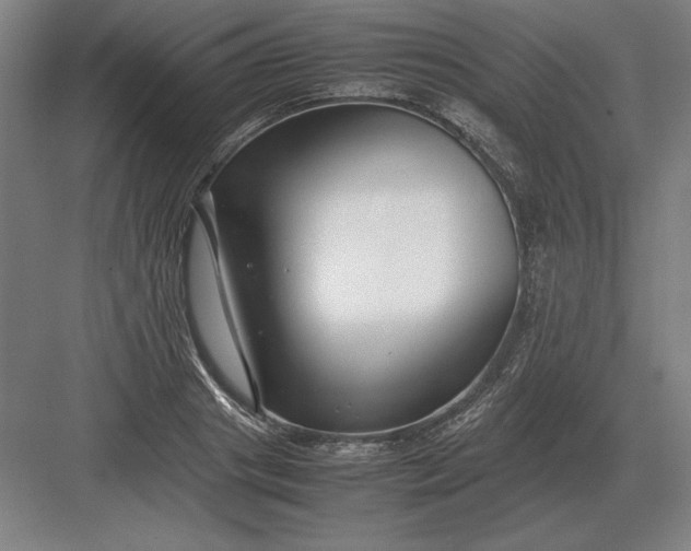 X0000083000841200702160047