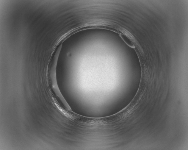 X0000083000842200702160047