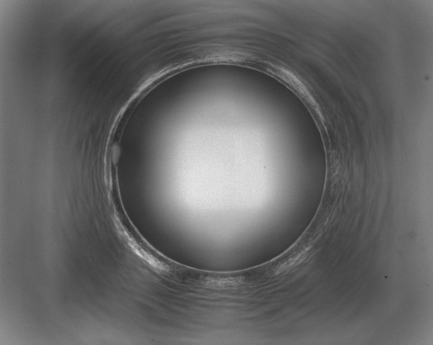 X0000083000843200702160047