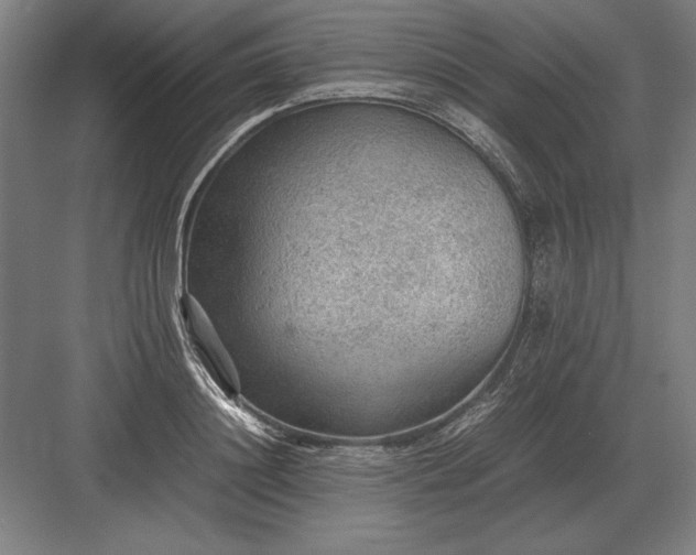 X0000083000844200702160047