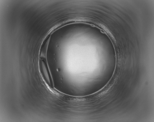 X0000083000845200702160047