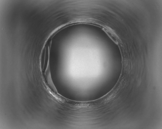 X0000083000846200702160047