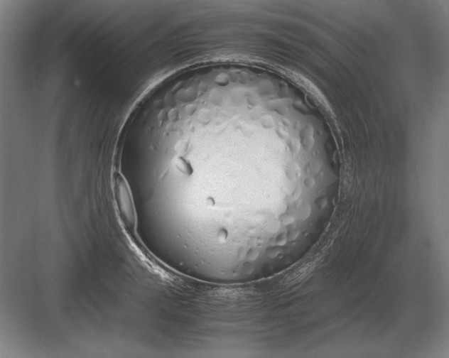 X0000083000847200702160047