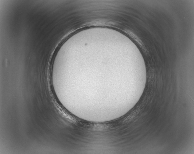 X0000083000848200702160047