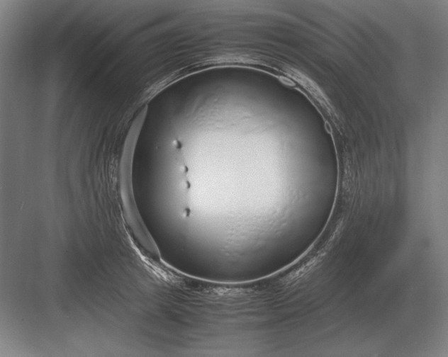 X0000083000849200702160047