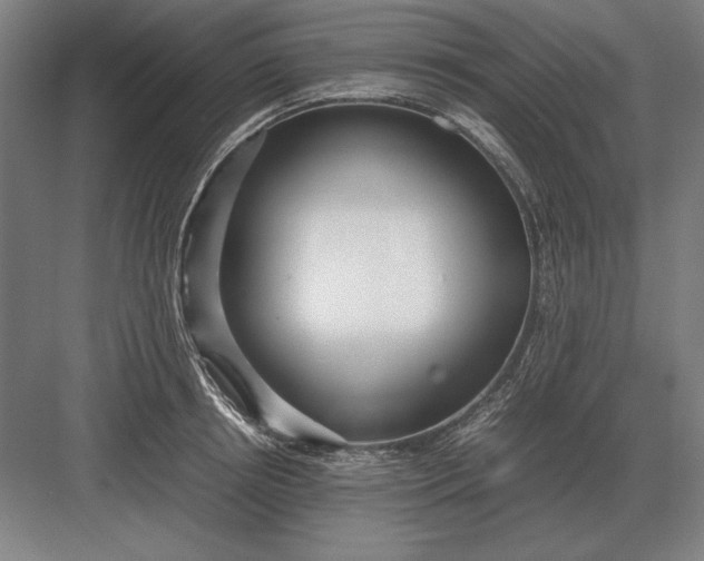 X0000083000850200702160047