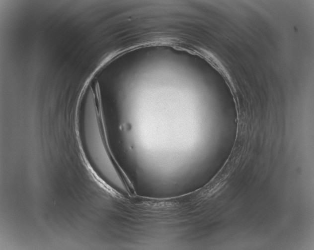 X0000083000851200702160047