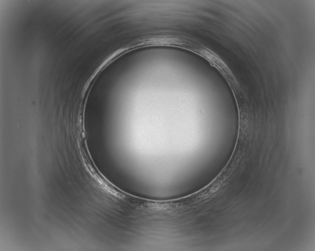 X0000083000852200702160047