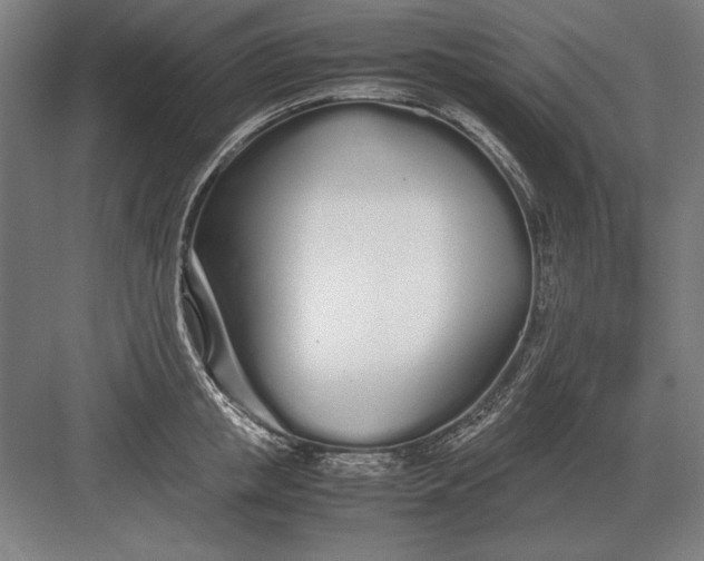 X0000083000853200702160047