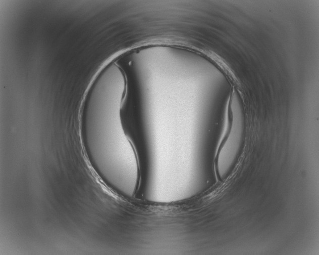 X0000083000854200702160047