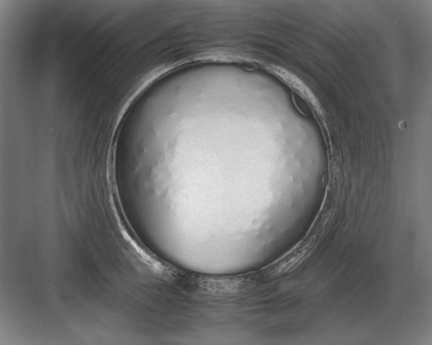 X0000083000855200702160047