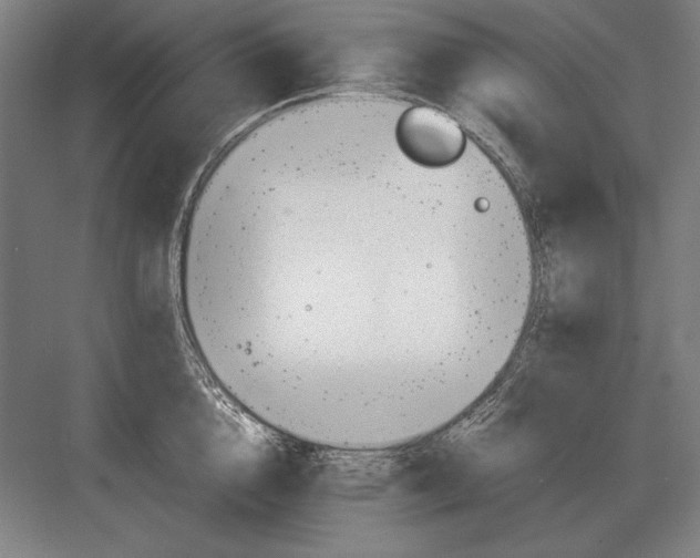 X0000083000856200702160047