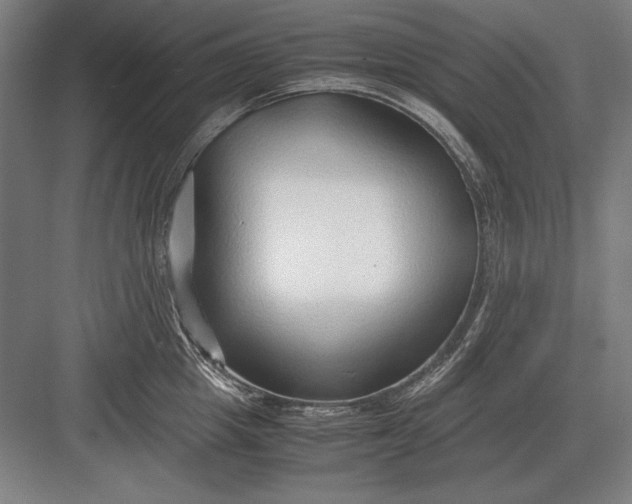 X0000083000857200702160047