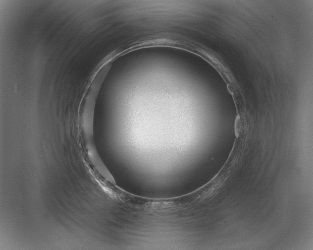 X0000083000858200702160047