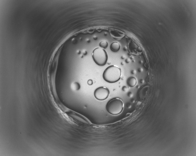 X0000083000859200702160047