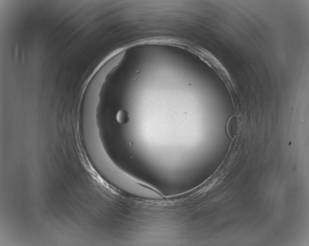 X0000083000860200702160047