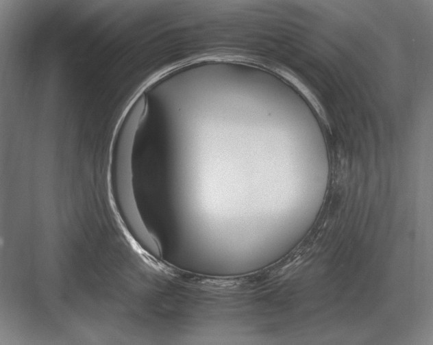 X0000083000861200702160047