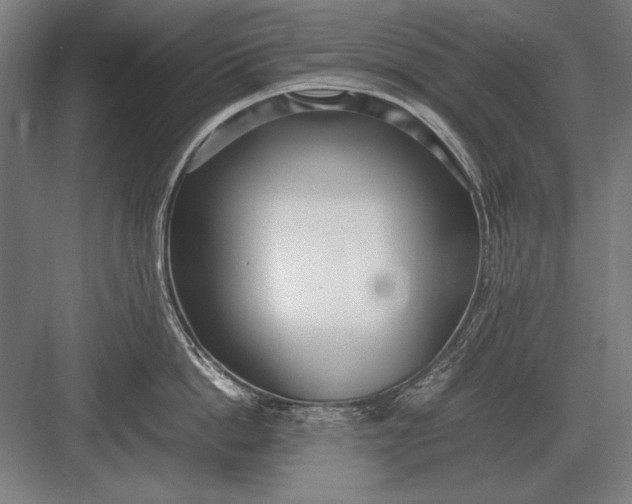 X0000083000862200702160048