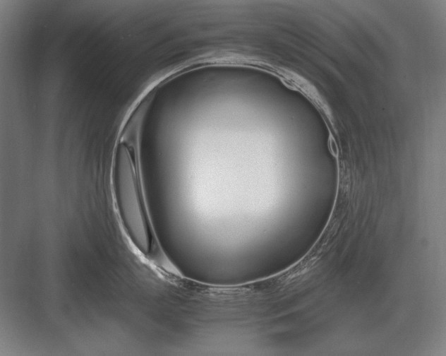 X0000083000863200702160048