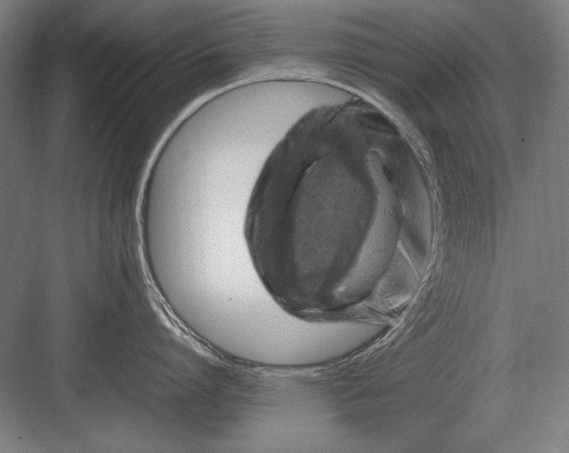 X0000083000864200702160048