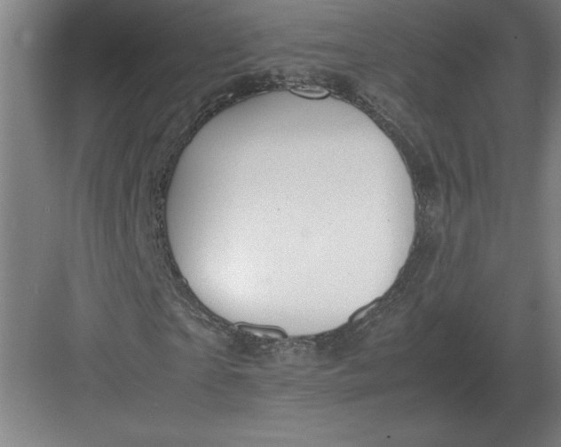 X0000083000865200702160047