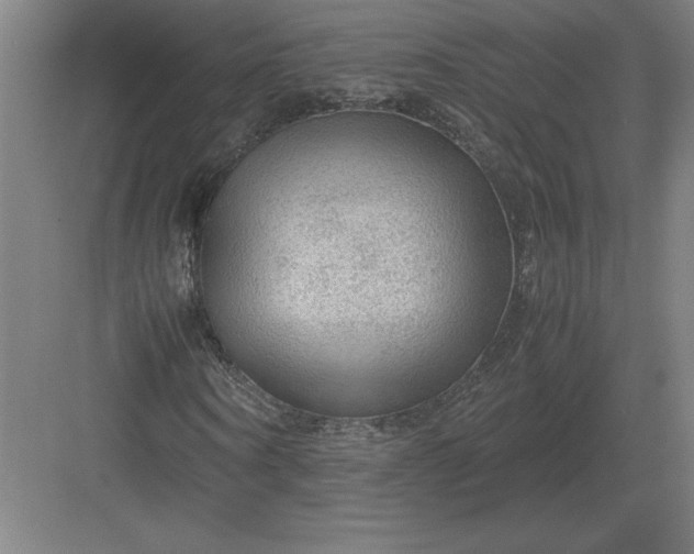 X0000083000866200702160047