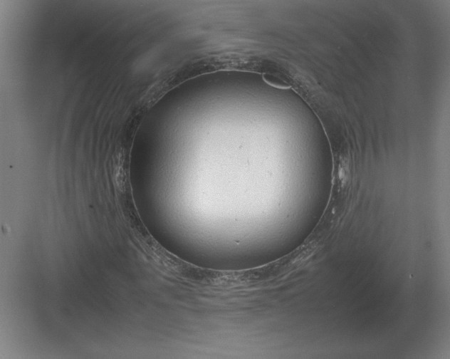 X0000083000867200702160047