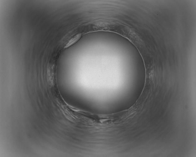 X0000083000868200702160047