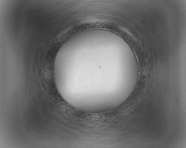 X0000083000869200702160047