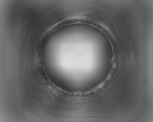 X0000083000872200702160047