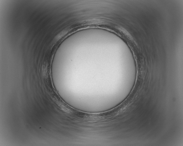 X0000083000873200702160047