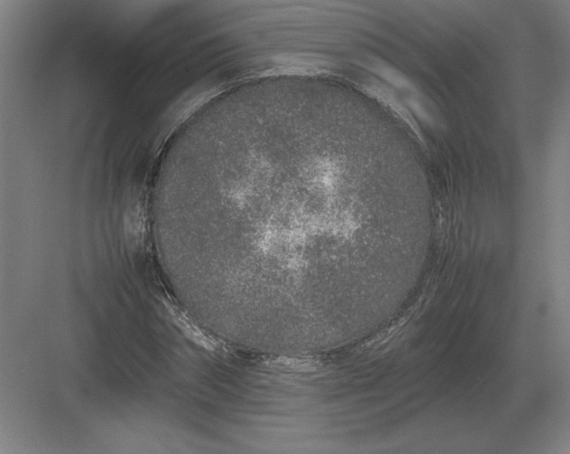 X0000083000874200702160047