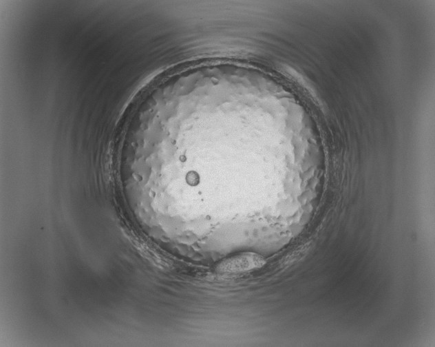 X0000083000875200702160047